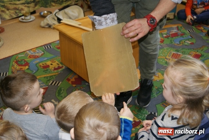 Zdjęcie w galerii na portalu naszraciborz.pl: Fascynujący świat pszczół - warsztaty w Zespole Szkolno-Przedszkolnym nr 4  wiadomości z regionu