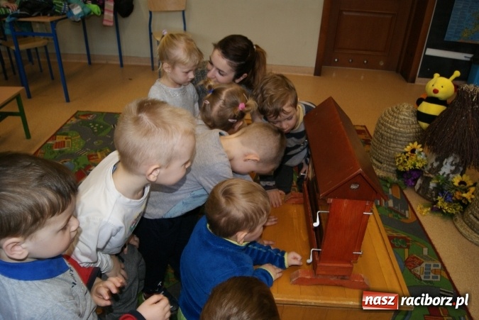 Zdjęcie w galerii na portalu naszraciborz.pl: Fascynujący świat pszczół - warsztaty w Zespole Szkolno-Przedszkolnym nr 4  wiadomości z regionu