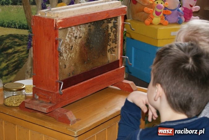 Zdjęcie w galerii na portalu naszraciborz.pl: Fascynujący świat pszczół - warsztaty w Zespole Szkolno-Przedszkolnym nr 4  wiadomości z regionu