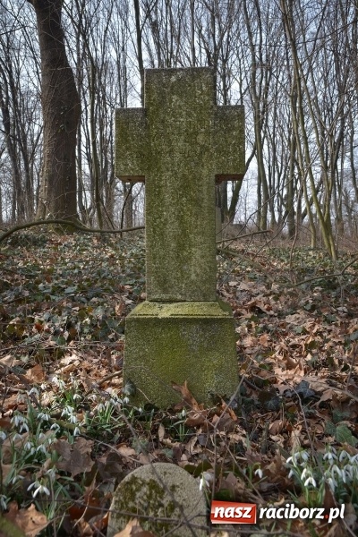 Zdjęcie w galerii na portalu naszraciborz.pl: Zapomniany cmentarz ewangelicki przy Starowiejskiej wiadomości z regionu