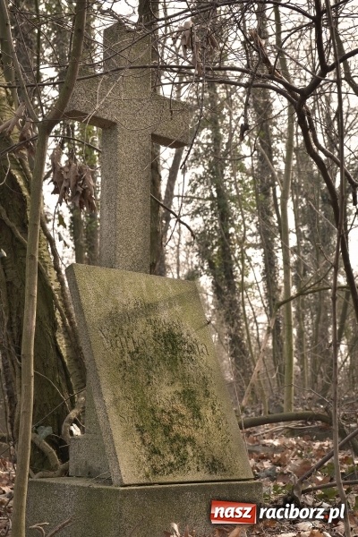 Zdjęcie w galerii na portalu naszraciborz.pl: Zapomniany cmentarz ewangelicki przy Starowiejskiej wiadomości z regionu