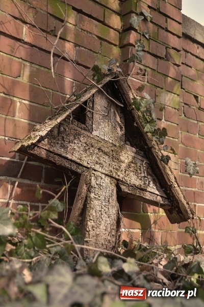 Zdjęcie w galerii na portalu naszraciborz.pl: Zapomniany cmentarz ewangelicki przy Starowiejskiej wiadomości z regionu