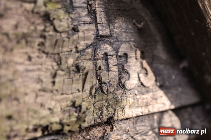 Zdjęcie w galerii na portalu naszraciborz.pl: Zapomniany cmentarz ewangelicki przy Starowiejskiej wiadomości z regionu