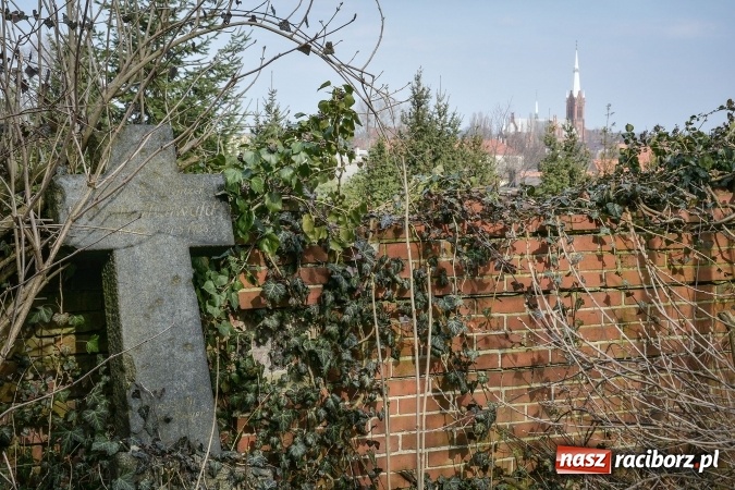 Zdjęcie w galerii na portalu naszraciborz.pl: Zapomniany cmentarz ewangelicki przy Starowiejskiej wiadomości z regionu
