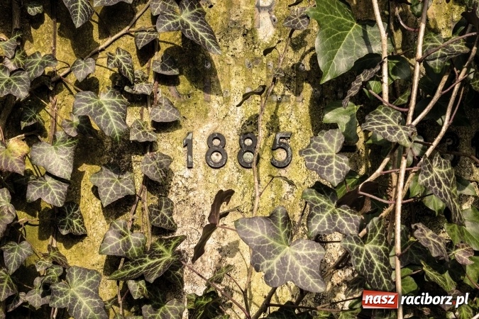 Zdjęcie w galerii na portalu naszraciborz.pl: Zapomniany cmentarz ewangelicki przy Starowiejskiej wiadomości z regionu