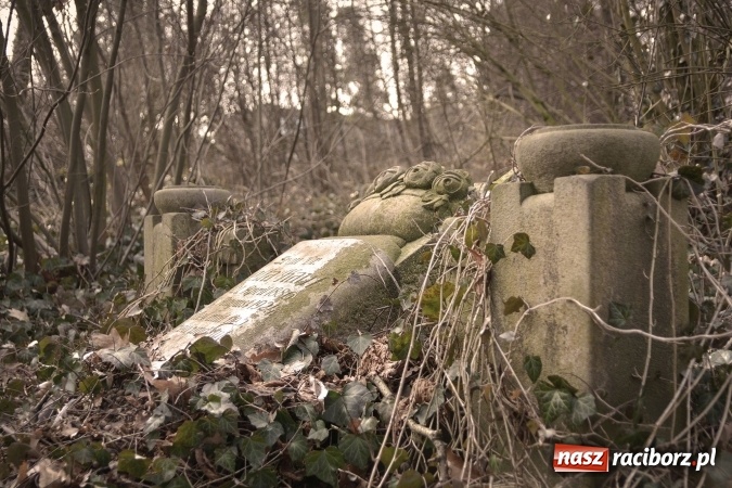 Zdjęcie w galerii na portalu naszraciborz.pl: Zapomniany cmentarz ewangelicki przy Starowiejskiej wiadomości z regionu