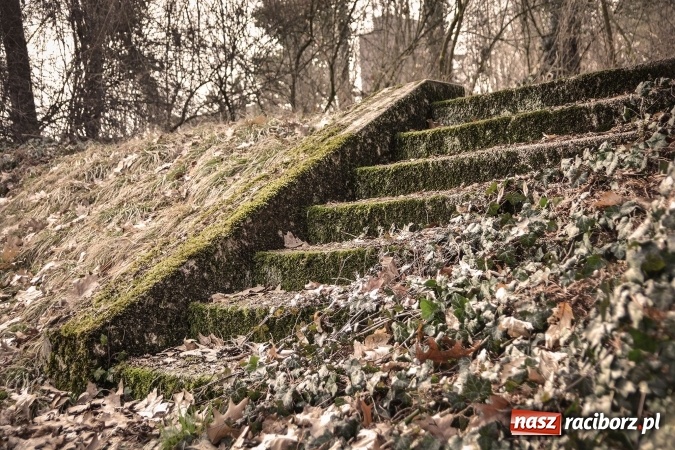 Zdjęcie w galerii na portalu naszraciborz.pl: Zapomniany cmentarz ewangelicki przy Starowiejskiej wiadomości z regionu