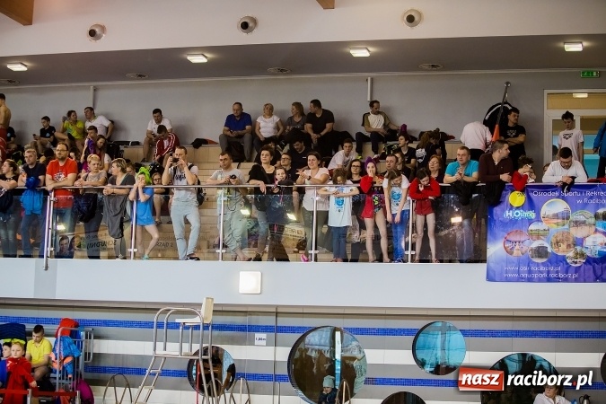 Zdjęcie w galerii na portalu naszraciborz.pl: Mistrzostwa Szkół Sportowych w Pływaniu w H2Ostróg wiadomości z regionu