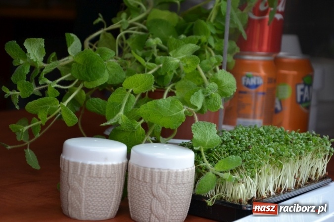 Zdjęcie w galerii na portalu naszraciborz.pl: I Festiwal Piw Rzemieślniczych na Zamku Piastowskim - dzień pierwszy  wiadomości z regionu