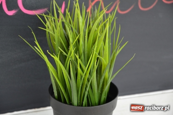 Zdjęcie w galerii na portalu naszraciborz.pl: I Festiwal Piw Rzemieślniczych na Zamku Piastowskim - dzień pierwszy  wiadomości z regionu