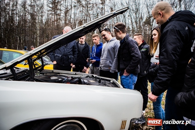 Zdjęcie w galerii na portalu naszraciborz.pl: Pierwszy Zlot MotoFan Racib&oacute;rz 2017 wiadomości z regionu