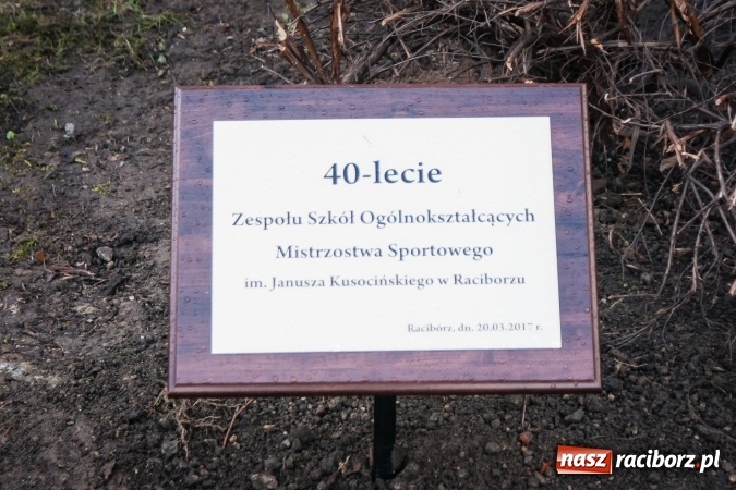 Zdjęcie w galerii na portalu naszraciborz.pl: Poseł Gabriela Lenartowicz posadziła drzewo na 40-lecie ZSOMS wiadomości z regionu