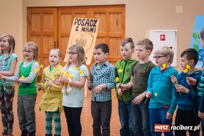 Zdjęcie w galerii na portalu naszraciborz.pl: Poseł Gabriela Lenartowicz posadziła drzewo na 40-lecie ZSOMS wiadomości z regionu