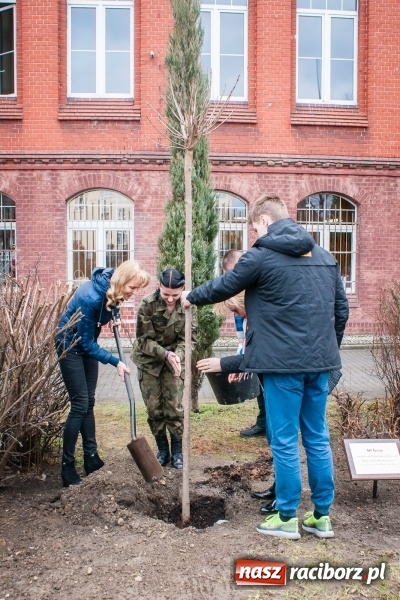 Zdjęcie w galerii na portalu naszraciborz.pl: Poseł Gabriela Lenartowicz posadziła drzewo na 40-lecie ZSOMS wiadomości z regionu