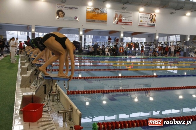 Zdjęcie w galerii na portalu naszraciborz.pl: Pływanie. Gimnazjum Mistrzostwa Sportowego na podium  wiadomości z regionu