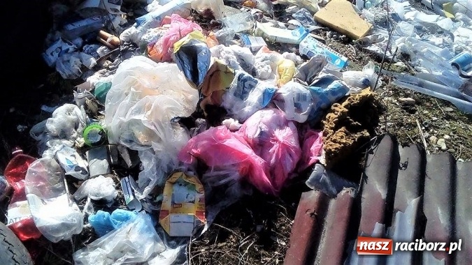 Zdjęcie w galerii na portalu naszraciborz.pl: Nielegalne wysypisko śmieci w Ligocie Tworkowskiej - Społeczna Straż Rybacka prosi o pomoc w ujęciu sprawców!  wiadomości z regionu