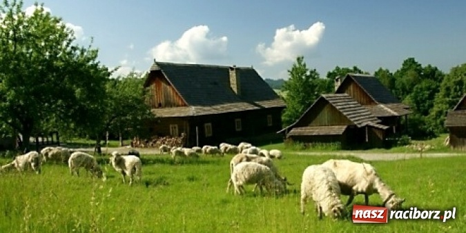 Zdjęcie w galerii na portalu naszraciborz.pl: Przywitaj wiosnę w... Królestwie Wołoskim! Odwiedź piękny a mało znany rejon Czech! wiadomości z regionu