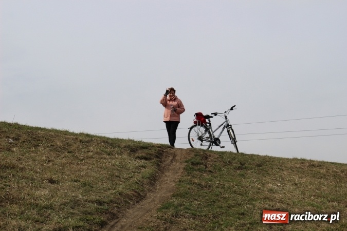 Zdjęcie w galerii na portalu naszraciborz.pl: Studenci UTW z Nędzy aktywnie powitali wiosnę  wiadomości z regionu