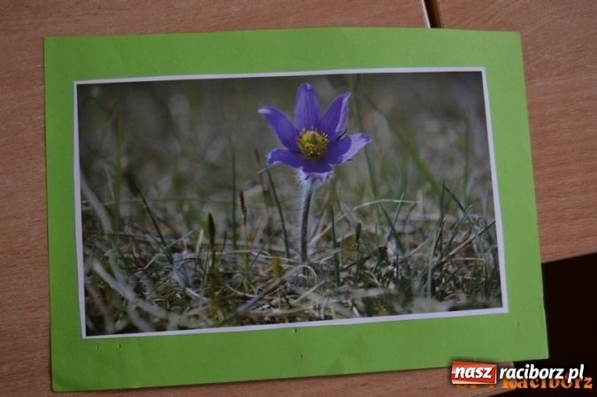 Zdjęcie w galerii na portalu naszraciborz.pl: Ile zer ma milion? Szkoła Podstawowa nr 4 wita wiosnę  wiadomości z regionu
