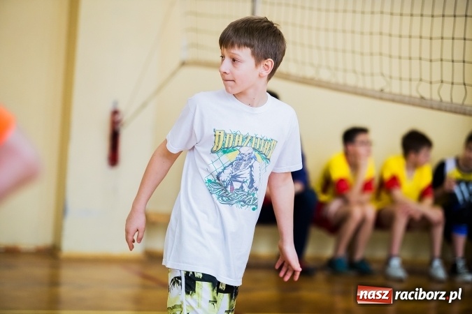 Zdjęcie w galerii na portalu naszraciborz.pl: Siatkówka chłopców szkół podstawowych wiadomości z regionu