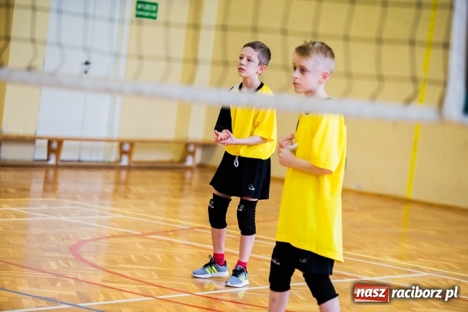 Zdjęcie w galerii na portalu naszraciborz.pl: Siatkówka chłopców szkół podstawowych wiadomości z regionu