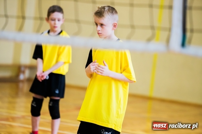 Zdjęcie w galerii na portalu naszraciborz.pl: Siatkówka chłopców szkół podstawowych wiadomości z regionu