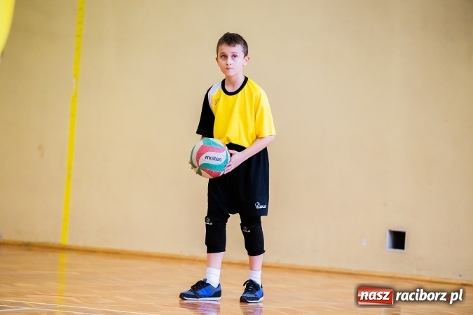 Zdjęcie w galerii na portalu naszraciborz.pl: Siatkówka chłopców szkół podstawowych wiadomości z regionu