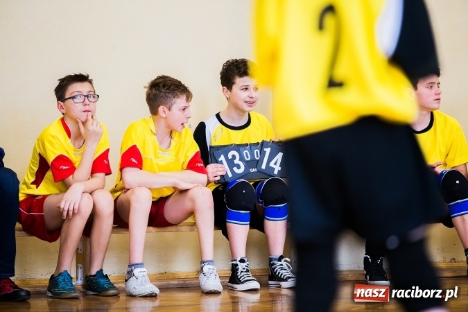 Zdjęcie w galerii na portalu naszraciborz.pl: Siatkówka chłopców szkół podstawowych wiadomości z regionu