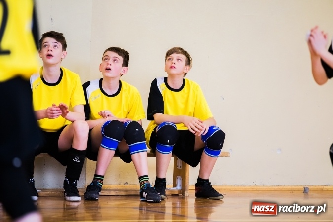 Zdjęcie w galerii na portalu naszraciborz.pl: Siatkówka chłopców szkół podstawowych wiadomości z regionu