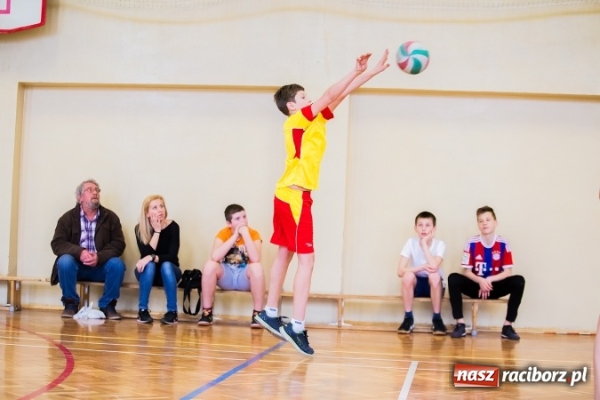 Zdjęcie w galerii na portalu naszraciborz.pl: Siatkówka chłopców szkół podstawowych wiadomości z regionu