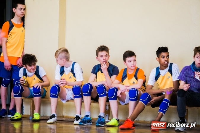 Zdjęcie w galerii na portalu naszraciborz.pl: Siatkówka chłopców szkół podstawowych wiadomości z regionu