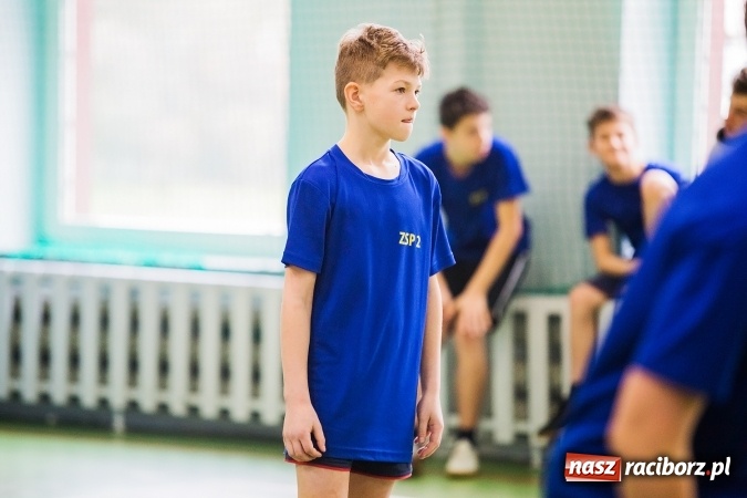 Zdjęcie w galerii na portalu naszraciborz.pl: Siatkówka chłopców szkół podstawowych wiadomości z regionu