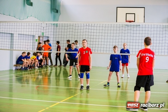 Zdjęcie w galerii na portalu naszraciborz.pl: Siatkówka chłopców szkół podstawowych wiadomości z regionu