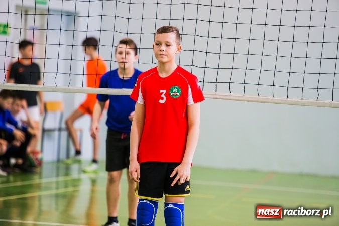 Zdjęcie w galerii na portalu naszraciborz.pl: Siatkówka chłopców szkół podstawowych wiadomości z regionu