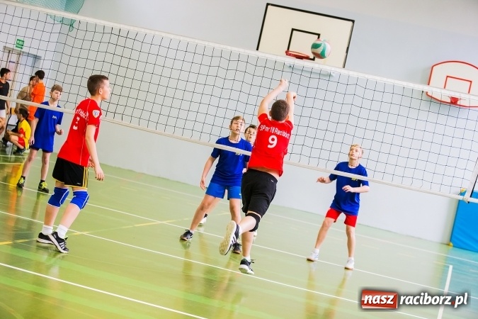 Zdjęcie w galerii na portalu naszraciborz.pl: Siatkówka chłopców szkół podstawowych wiadomości z regionu