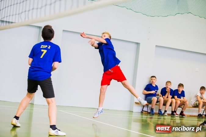 Zdjęcie w galerii na portalu naszraciborz.pl: Siatkówka chłopców szkół podstawowych wiadomości z regionu
