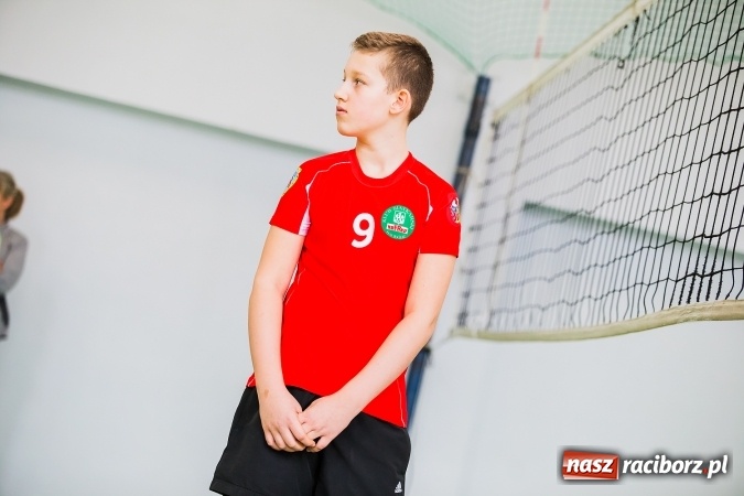 Zdjęcie w galerii na portalu naszraciborz.pl: Siatkówka chłopców szkół podstawowych wiadomości z regionu