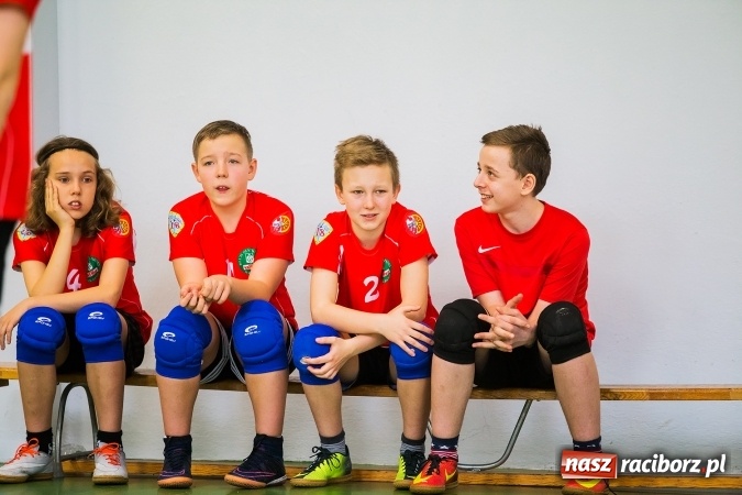 Zdjęcie w galerii na portalu naszraciborz.pl: Siatkówka chłopców szkół podstawowych wiadomości z regionu