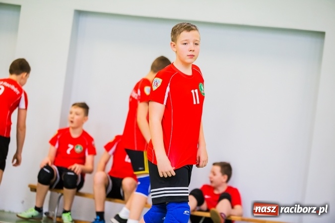 Zdjęcie w galerii na portalu naszraciborz.pl: Siatkówka chłopców szkół podstawowych wiadomości z regionu