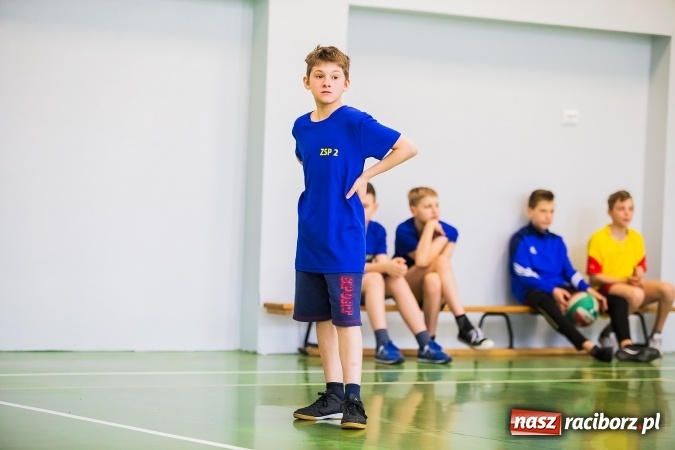 Zdjęcie w galerii na portalu naszraciborz.pl: Siatkówka chłopców szkół podstawowych wiadomości z regionu