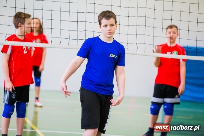 Zdjęcie w galerii na portalu naszraciborz.pl: Siatkówka chłopców szkół podstawowych wiadomości z regionu
