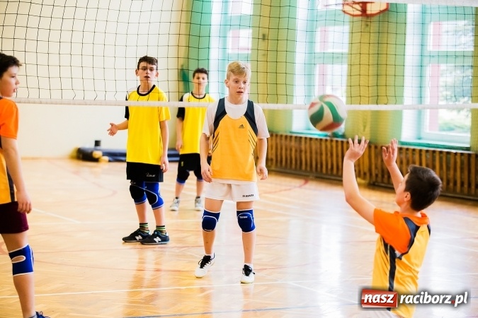 Zdjęcie w galerii na portalu naszraciborz.pl: Siatkówka chłopców szkół podstawowych wiadomości z regionu