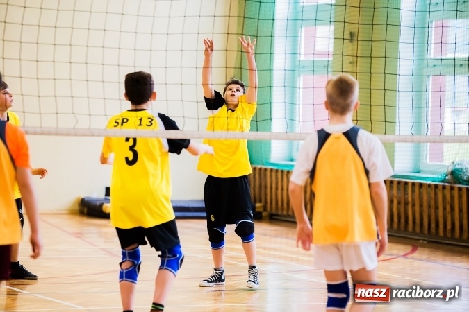 Zdjęcie w galerii na portalu naszraciborz.pl: Siatkówka chłopców szkół podstawowych wiadomości z regionu