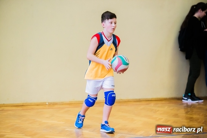 Zdjęcie w galerii na portalu naszraciborz.pl: Siatkówka chłopców szkół podstawowych wiadomości z regionu