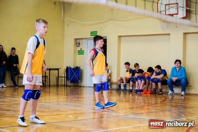Zdjęcie w galerii na portalu naszraciborz.pl: Siatkówka chłopców szkół podstawowych wiadomości z regionu