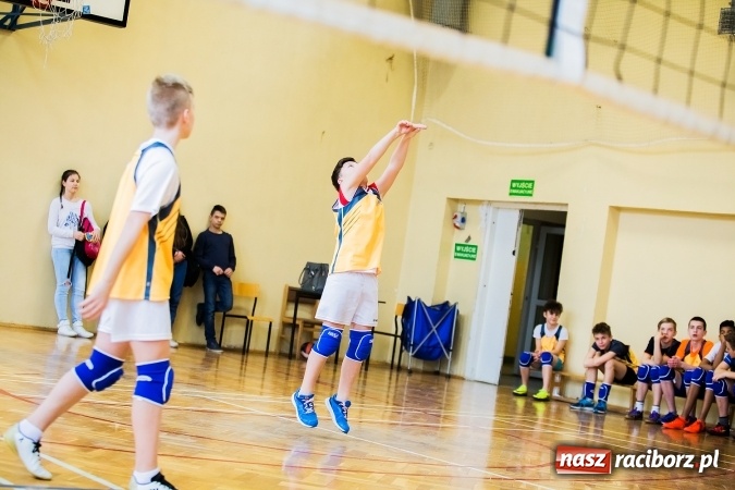 Zdjęcie w galerii na portalu naszraciborz.pl: Siatkówka chłopców szkół podstawowych wiadomości z regionu