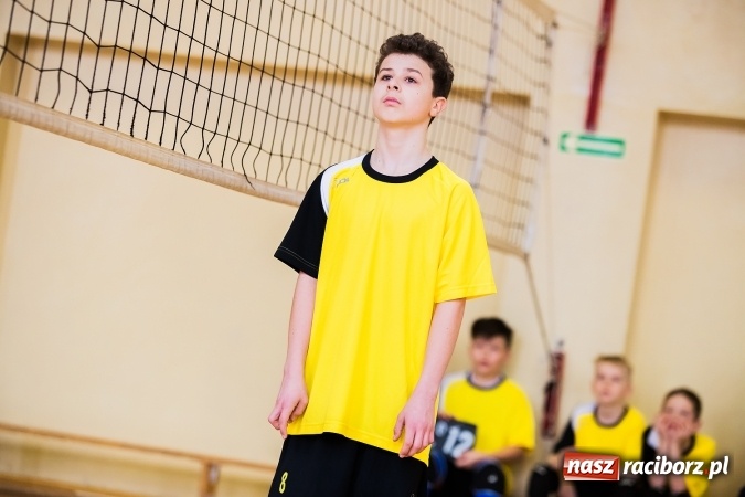 Zdjęcie w galerii na portalu naszraciborz.pl: Siatkówka chłopców szkół podstawowych wiadomości z regionu