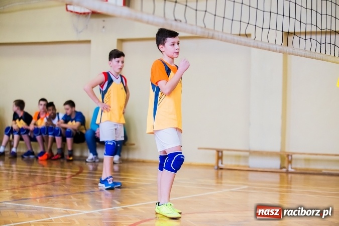 Zdjęcie w galerii na portalu naszraciborz.pl: Siatkówka chłopców szkół podstawowych wiadomości z regionu
