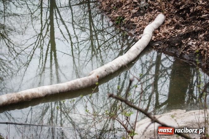 Zdjęcie w galerii na portalu naszraciborz.pl: Skandal w Markowicach. Olej napędowy z wywr&oacute;conej ciężar&oacute;wki zatruwał ciek wodny przy rezerwacie Łężczok! wiadomości z regionu
