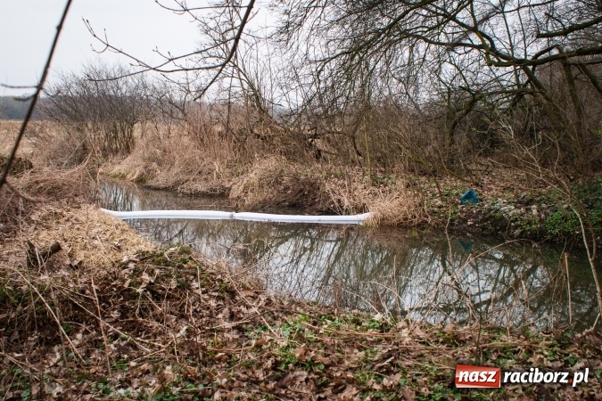 Zdjęcie w galerii na portalu naszraciborz.pl: Skandal w Markowicach. Olej napędowy z wywr&oacute;conej ciężar&oacute;wki zatruwał ciek wodny przy rezerwacie Łężczok! wiadomości z regionu
